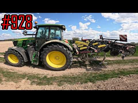 Cultivation of pumpkin fields, both with and without tillage #928