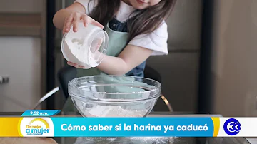 ¿Cómo saber si la harina está mala?