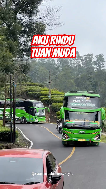 Basuri aku rindu by Tuan Muda #bisbasuri #trending #basuri #buspariwisata #buspariwisata
