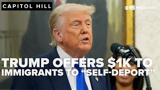 Trump administration to offer $1,000 to illegal immigrants who 'self deport'