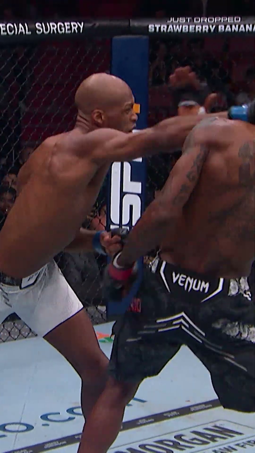 MVP had one of the best debuts ? #ufcsaudiarabia