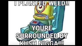 PLANKTON PLANTED WEED (Original)