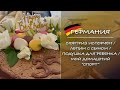 ГЕРМАНИЯ. Сюрприз испорчен / Лепим с сыном / Подушка для ребенка / Мой домашний “спорт”