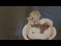 「ayumi hamasaki Special SHOWCASE ~Xmas Eve 2020~」(selected)