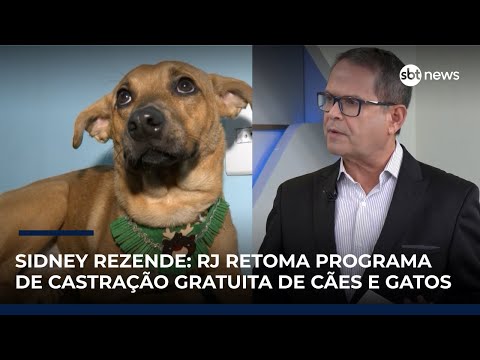 Video sidney-rezende-governo-do-rj-retoma-programa-de-castracao-gratuita-de-caes-e-gatos