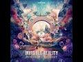 Invisible reality  psychedelic quest