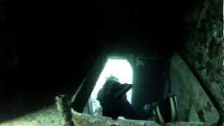 Cozumel Shipwreck Felipe Xicotencatl C-53 by Dmitriy 9,271 views 12 years ago 13 minutes, 20 seconds