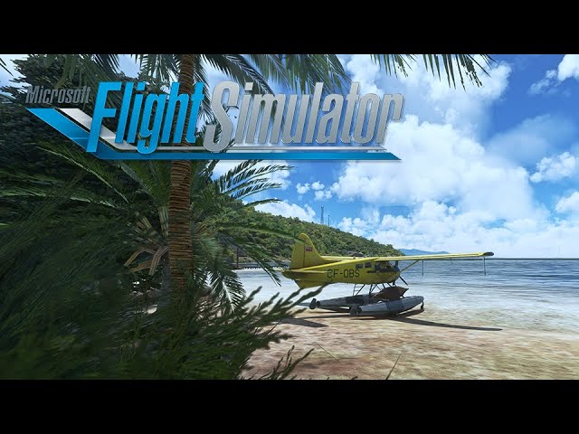 The Uncanny Escapism of 'Flight Simulator 2020