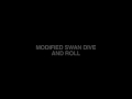 modified swan dive and roll.m4v