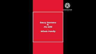 Saucy Santana ft. Flo Milli - Whole Family ♥️❤️