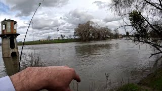 Sacramento river striper Fishing update|Delta tides trolling info|Drone footage.   #fishing