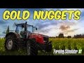 Farming Simulator 17 - Gold Nugget Locations.