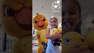 o canarinho encontrou a mavi