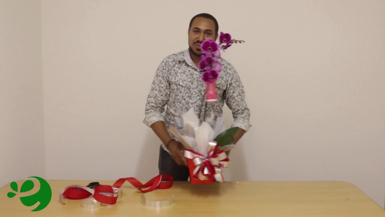 Como montar um arranjo rápido com orquídea - thptnganamst.edu.vn