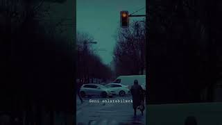 Seni Anlatabilmek Seni Resimi