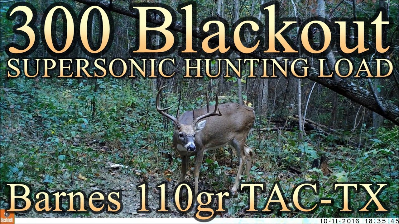 300 BLK Supersonic Hunting Load with 110gr Barnes TAC-TX 