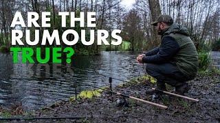 Fishing For BIG PERCH With Prawns  Part One