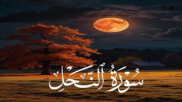 تلاوة خاشعة 🕊️ للشيخ محمد اللحيدان من سورة النحل "وَأَوْحَىٰ رَبُّكَ إِلَى النَّحْلِ