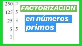 Factorizacion En Números Primos Matematica Preuniversitaria