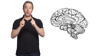 Does Porn Impact the Brain?