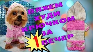 видео: Crochet a simple sweater for a yorkie dog | Вяжем худи (свитер) для собаки крючком из плюшевой пряжи картинка: Crochet a simple sweater for a yorkie dog | Вяжем худи (свитер) для собаки крючком из плюшевой пряжи