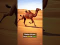 Amazing Animal Facts You Didn't Know!