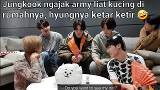 Saat Jungkook ngajak army liat kucing di rumahnya, hyungnya ketar ketir #bts #jungkook #btsarmy