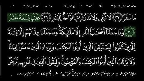 سوره المدثر  للشيخ هاني الرفاعي