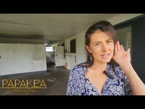 594 HAIHAI ST, Hilo, HI home video tour