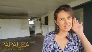 594 HAIHAI ST Hilo, HI 96720 | MLS: 665329