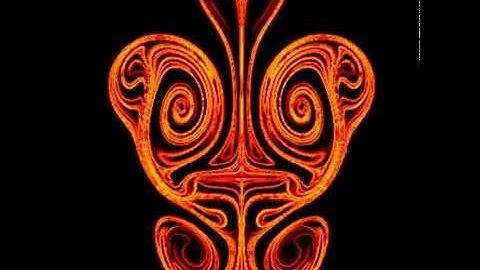 Attracting FTLE field for plunging plate in a quiescent fluid