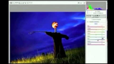 Camera Raw Processing.flv