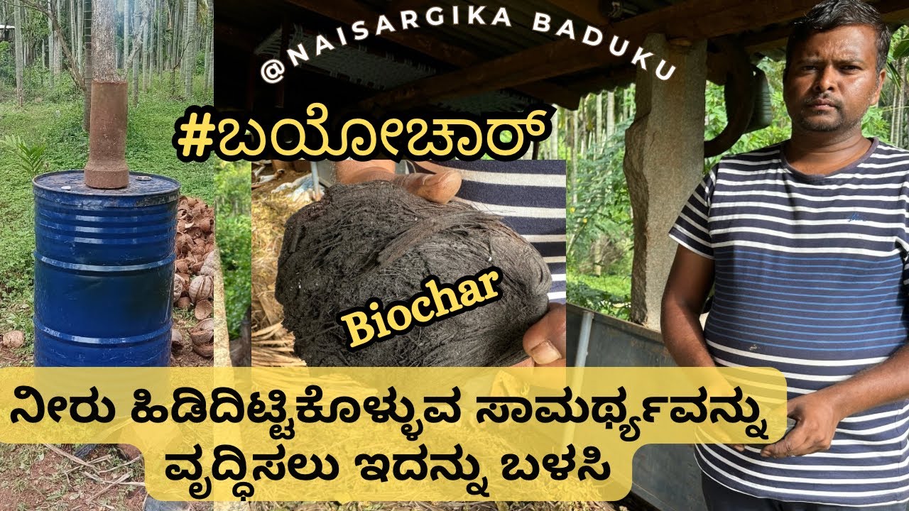 ಬಯೋಚಾರ್ | Biochar | ನೀರು ಹಿಡಿದಿಟ್ಟಿಕೊಳ್ಳುವ ಸಾಮರ್ಥ್ಯವನ್ನು ವೃದ್ಧಿಸಲು ಇದನ್ನು ನಿಮ್ಮ ತೋಟದಲ್ಲಿ ಬಳಸ 🇮🇳💛❤️