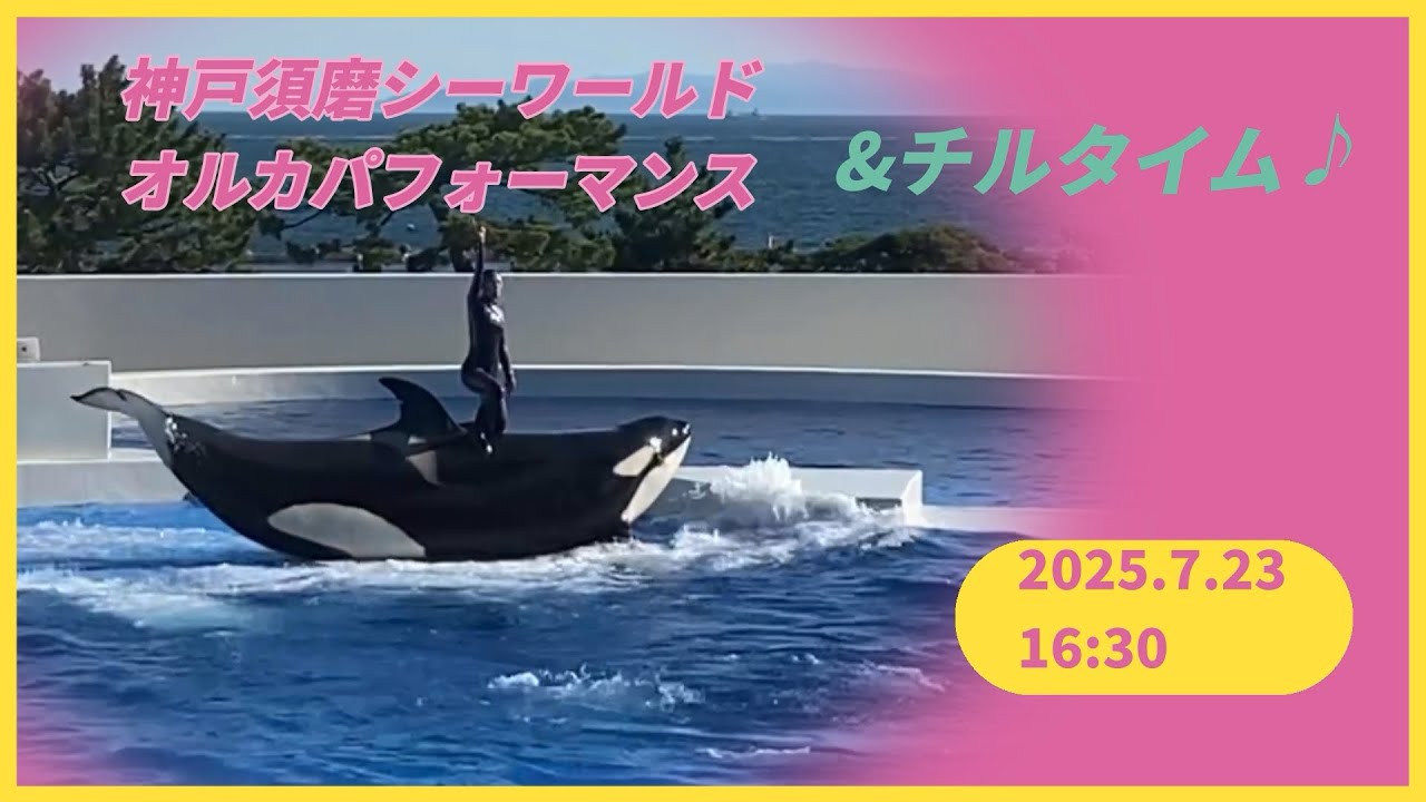 神戸須磨シーワールド オルカパフォーマンス &チルタイム