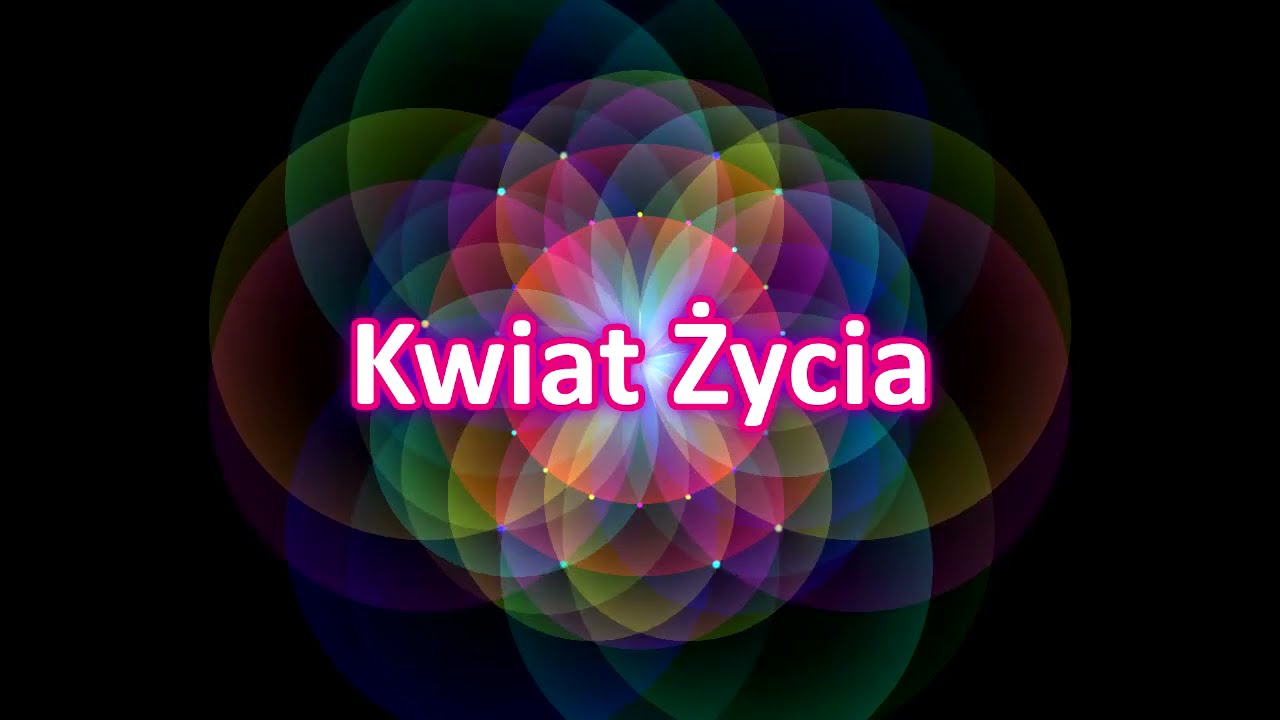 Budowa kwiatu | ZDALNY EXPERYMENT #72