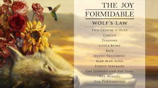 Miniatura del video "The Joy Formidable - Bats [Official Audio from Wolf's Law]"