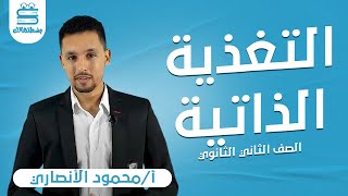 الصف الثاني الثانوي | الترم الاول | تدریبات تابع التغذية الذاتية |  أ.محمود الأنصاري | نظام حدیث