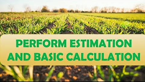 PERFORM ESTIMATION AND BASIC CALCULATION