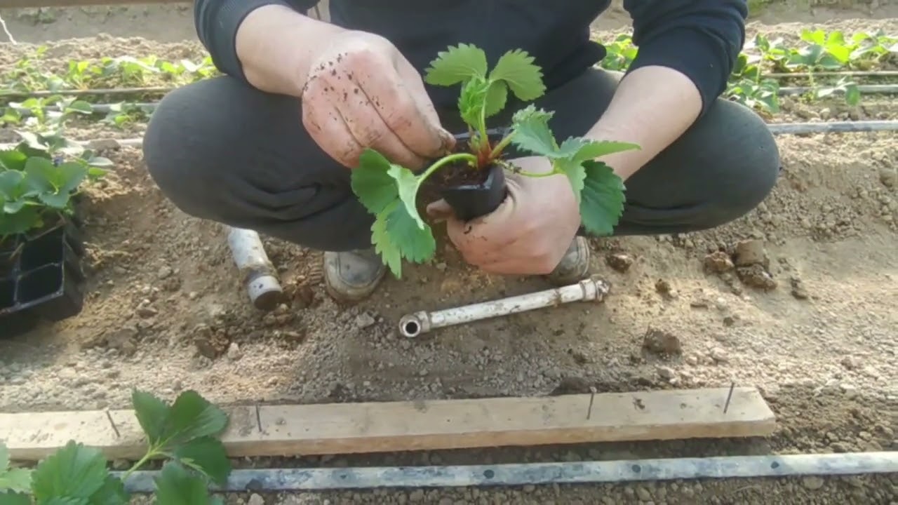 bugungi kunda qilinvotgan ishlar