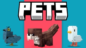 Add Minecraft Pets & Levels Plugin
