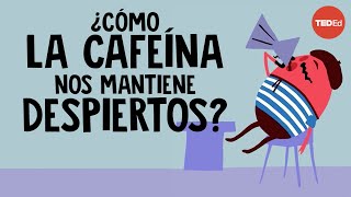 ¿Cómo la cafeína nos mantiene despiertos?  Hanan Qasim