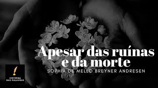 Apesar das ruínas e da morte - Sophia de Mello Breyner Andresen