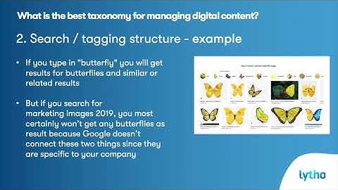 What is the best taxonomy for managing digital content - Managing a Brand: Module 3 Lesson 2
