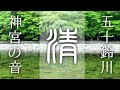 【伊勢神宮】五十鈴川と鳥のさえずり（自然音、作業用BGM）｜Isuzugawa - Isuzu River