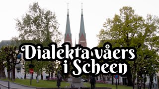 Dialekta våers i Scheen