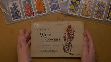ASMR Vintage Collector Cards Show and Tell 🌷