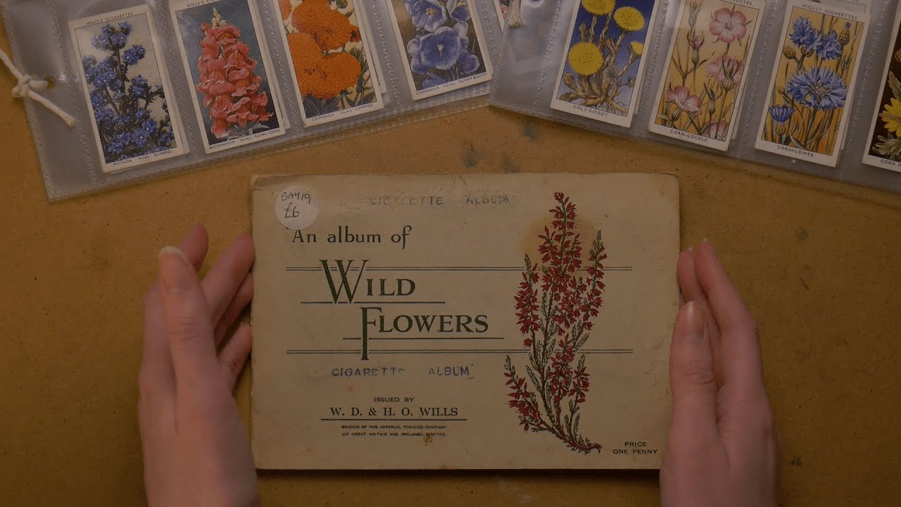 ASMR Vintage Collector Cards Show and Tell 🌷