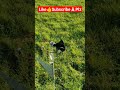 dcmotor windmill in field #tranding #viral #experiment #ytshorts #dcmotor #shorts #phy #yt #short