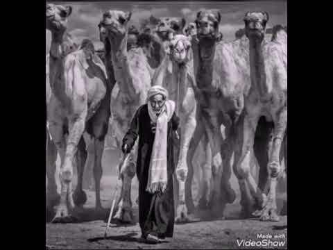 ي آ ع م ي آ ج م آل خ د ج م آل ک ل د و س ن آ