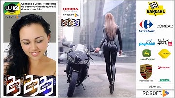 WX - Controle Layout Responsivo com Windev e Webdev